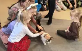 dziewczynki głaszczą łaciatego kota w tle inne dzieci