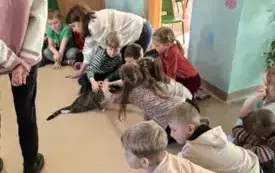 dzieci siedzą w kole na dywanie  kilkoro dzieci głaszcze szarego kota