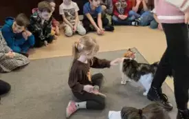 dziewczynki głaszczą dwa koty leżące na dywanie w tle inne dzieci