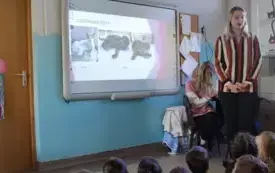 tablica multimedialna na kt&oacute;rej widać koty obok pani 