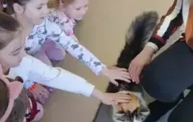 dziewczynki głaszczą łaciatego kota obok kota opiekunka