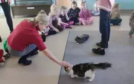 dzieci siedzą na dywanie dookoła, w środku dwa koty łaciatego kota dotyka pani nauczycielka