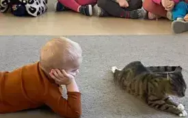 chłopiec leży na dywanie przypatruje się szaremu kotu