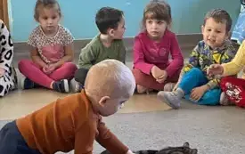 chłopiec głaszcze szarego kota