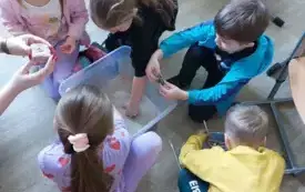 grupa dzieci kuca dookoła plastikowego pudełka wypełnionego pisakiem