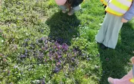 dzieci stoją przy trawniku na kt&oacute;rym kwitną fiołki, dziewczynka kuca