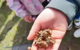 dłoń dziecka na kt&oacute;rej coś leży
