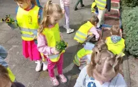 grupa dzieci w kamizelkach odblaskowych stoi na chodniku obok pociąg utworzony ze skrzynek niekt&oacute;re dzieci trzymają sadzonki kolorowych kwiat&oacute;w