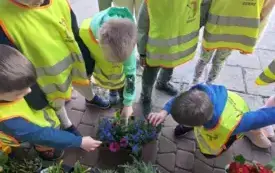 dzieci w kamizelkach odblaskowych pochylone nad skrzyneczką z kolorowymi kwiatami dzieci dotykają niezapominajki