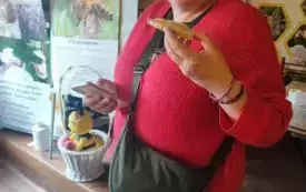 pani Małgosia z kromką chleba z miodem stoi w tle zdjęcia pszcz&oacute;ł