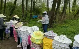 dzieci stoją w dwuszeregu przed nimi pani wszyscy mają na sobie kapelusze pszczerlarskie