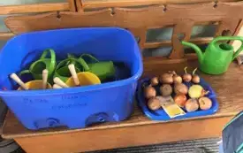 cebule i torebka z nasionami leżą na tacy przybory ogrodnicze w plastikowym dużym pudełku stoją na ławce