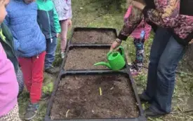 dzieci stoją przy skrzyniach wypełnionych ziemią pani nauczycielka trzyma konewkę w dłoni