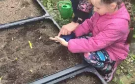 dziewczynka kuca przy skrzyni z ziemią pani pokazuje coś dziewczynce