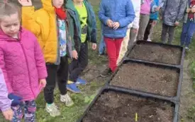 dzieci stoją nad skrzyniami z ziemią