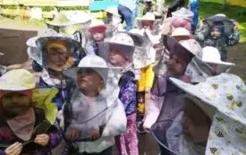cała grupa przedszkolak&oacute;w w strojach pszczelarskich w tle dwie panie