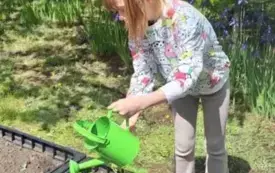 dziewczynka pochylona nad rabatami podlewa rośliny