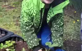 chłopiec w okularach przeciwsłonecznych stoi przy rabatach z roślinami chłopiec trzyma łopatkę