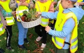 grupka dzieci w kamizelkach odblaskowych wkładają kasztany do koszyka z darami jesieni kt&oacute;ry trzyma pani widać jej rękę