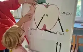 pani w przebraniu jabłka w czerwonej bluzie z opaską w kształcie liścia stoi przy tablicy wraz z dziewczynką na tablicy obrazek przedstawiający budowę jabłka