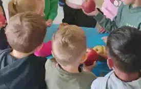 pani nauczycielka prezentuje dzieciom r&oacute;żne odmiany jabłek