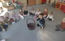 dzieci siedzą w kole na dywanie w środku stoi koszyk z kasztanami chłopiec ogląda kasztana