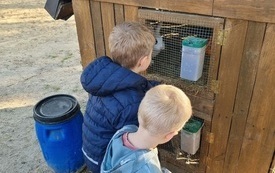 dw&oacute;ch chłopc&oacute;w zagląda do wnętrza kurnika