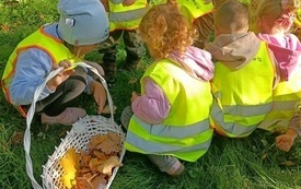 dzieci kucają na trawie i zbierają liście do koszyka