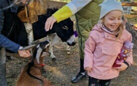 pani Kasia i dziewczynka z grupy stoją przy kozie w tlw osioł