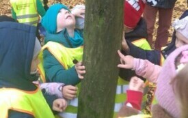 grupa dzieci dotyka drzewo, cgłopiec patrzy w g&oacute;rę