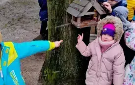grupa dzieci przed karmnikiem w karmniku ziarna