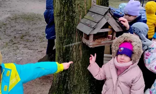 Zdjęcie do Przedszkolna stoł&oacute;wka dla ptak&oacute;w