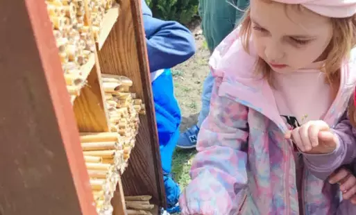 dziewczynka przy chotelu dla pszczół dokłada rurki