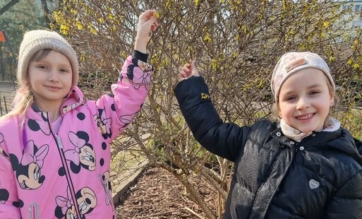 dwie dziewczynki na tle zaczynającej kwitnąć forsycji