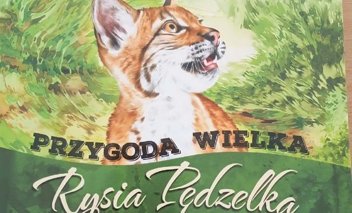 okładka książki  Przygoda wielka rysia Pędzelka